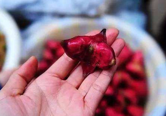 紅菱怎么吃？吃紅菱有什么好處？