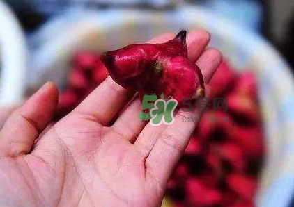 紅菱怎么吃？吃紅菱有什么好處？