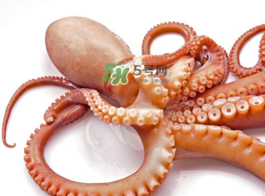 章魚(yú)有幾個(gè)心臟？章魚(yú)有幾條腿