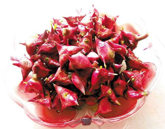 紅菱多少錢(qián)一斤？菱角嫩的好吃還是老的好吃？