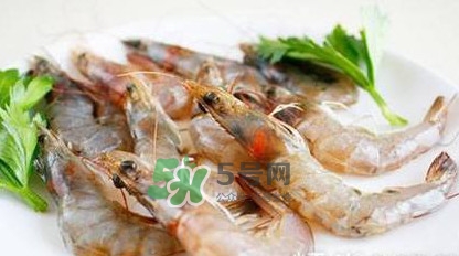 白蝦有寄生蟲嗎？如何選購新鮮的蝦