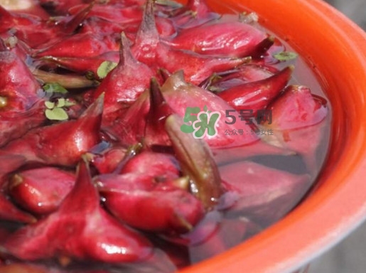 紅菱什么時(shí)候上市？什么時(shí)候采紅菱
