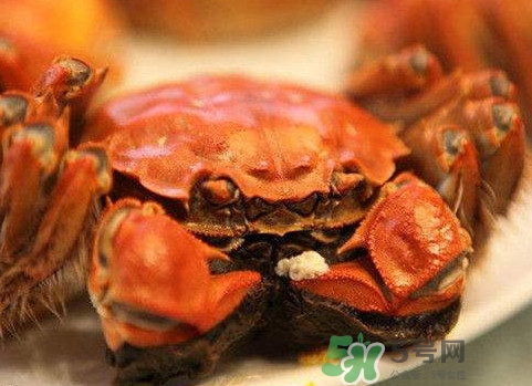 太湖蟹什么時候上市？太湖蟹幾月份有