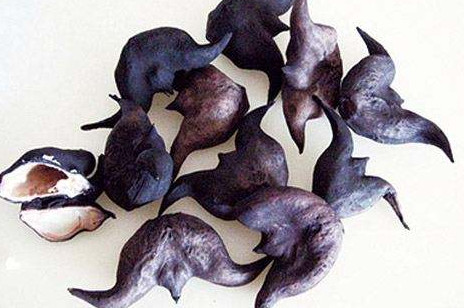 紅菱多少錢(qián)一斤？菱角嫩的好吃還是老的好吃？