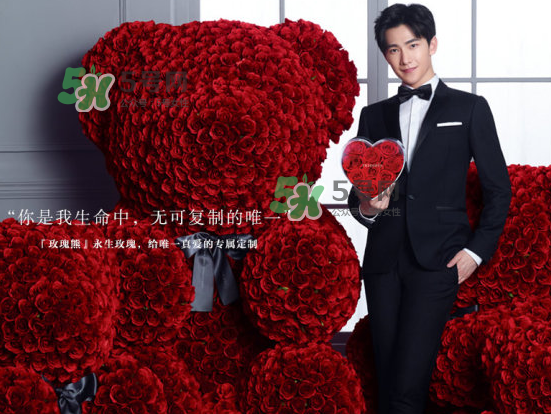 roseonly熊怎么樣？roseonly玫瑰熊好看嗎？