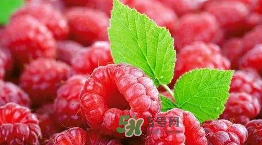 pola莓果酵素怎么吃？pola紅莓酵素怎么樣？