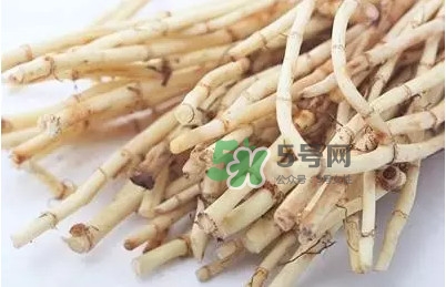 魚(yú)腥草什么季節(jié)吃最好？魚(yú)腥草什么時(shí)候吃最好