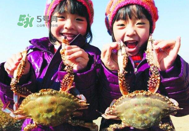 青島梭子蟹多少錢一斤？青島梭子蟹什么時候上市？