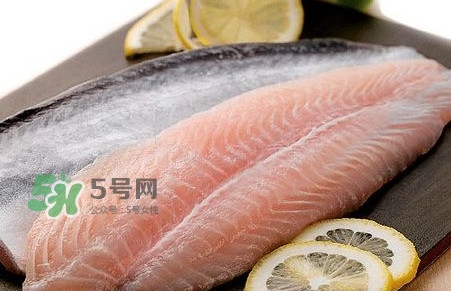 巴沙魚是鯰魚嗎？巴沙魚是海魚嗎