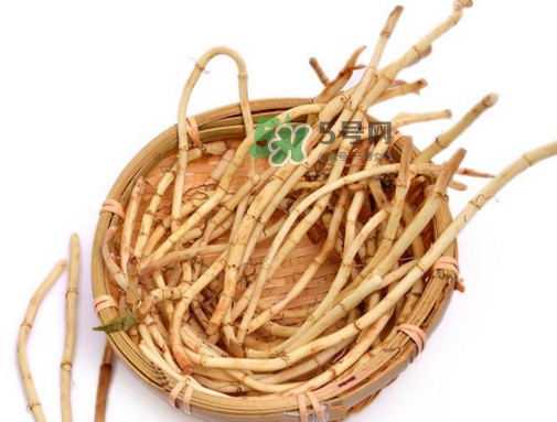 折耳根有毒嗎？折耳根有毒吃了會(huì)傷腎？