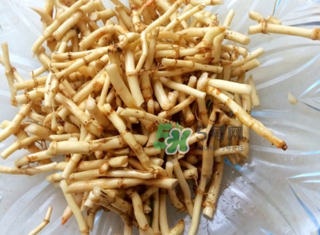 魚腥草可以和蜂蜜一起喝嗎？蜂蜜能和魚腥草一起泡嗎