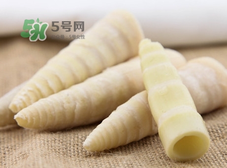 苦筍是什么竹子？苦筍是發(fā)物嗎