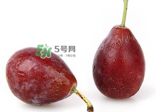 烏梅是西梅嗎？烏梅和西梅的區(qū)別
