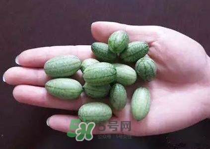 拇指西瓜怎么吃？拇指西瓜好吃嗎