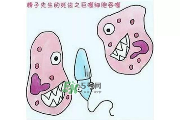 殺精的食物有哪些？吃什么東西殺精？