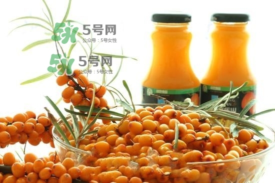 沙棘是什么？沙棘的功效與作用