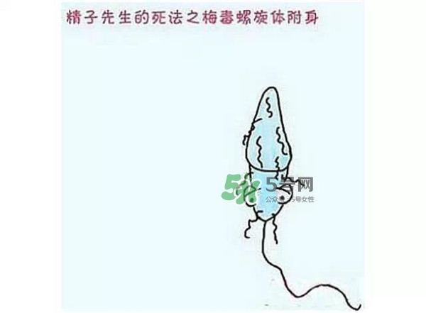 殺精的食物有哪些？吃什么東西殺精？