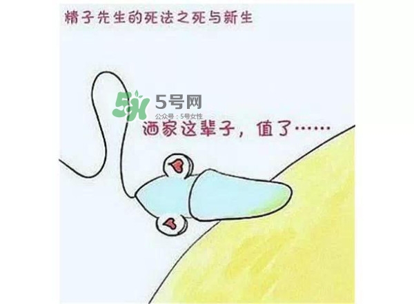 殺精的食物有哪些？吃什么東西殺精？