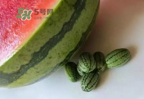 拇指西瓜什么時候上市？拇指西瓜什么時候成熟