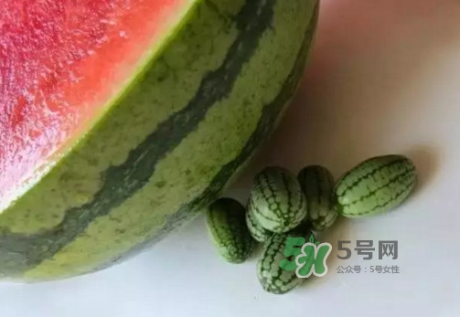 拇指西瓜多少錢一斤？拇指西瓜一口能吃幾個(gè)？