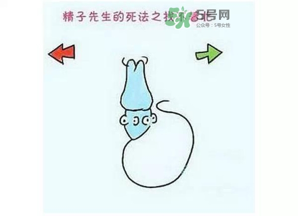 殺精的食物有哪些？吃什么東西殺精？
