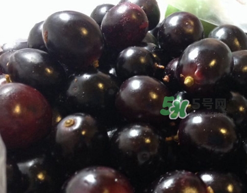 烏梅是綠色的正常嗎？烏梅是綠色的能吃嗎