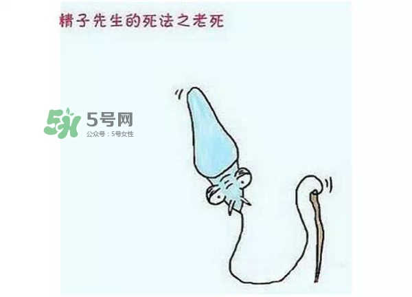 殺精的食物有哪些？吃什么東西殺精？
