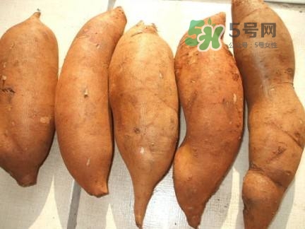 雪蓮果是水果嗎？雪蓮果是什么季節(jié)的水果？