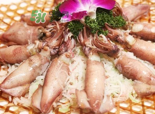 魷魚(yú)仔肚子里是什么？魷魚(yú)仔肚子里能吃嗎？