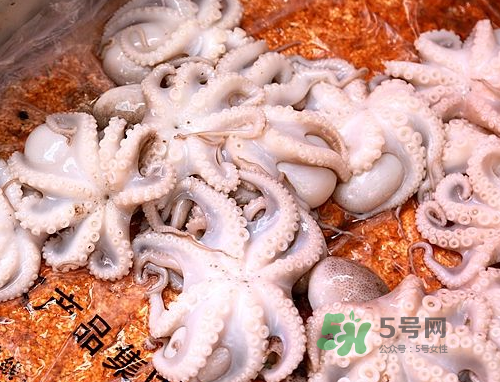 八爪魚可以冷凍嗎？八爪魚可以放冰箱嗎？