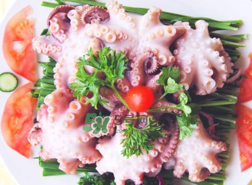 八爪魚什么地方不能吃？八爪魚哪里不能吃？