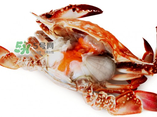 吃梭子蟹會胖嗎？梭子蟹吃了會胖嗎？ 