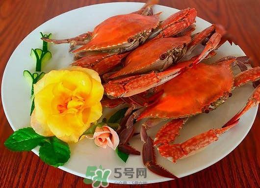 吃梭子蟹會胖嗎？梭子蟹吃了會胖嗎？ 