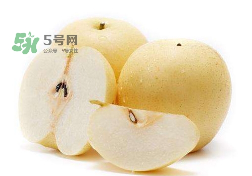 皇冠梨和雪花梨哪個(gè)好？雪花梨和皇冠梨的區(qū)別