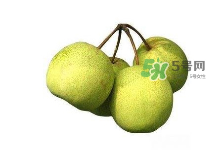 碭山梨好還是皇冠梨好？碭山梨和皇冠梨的區(qū)別