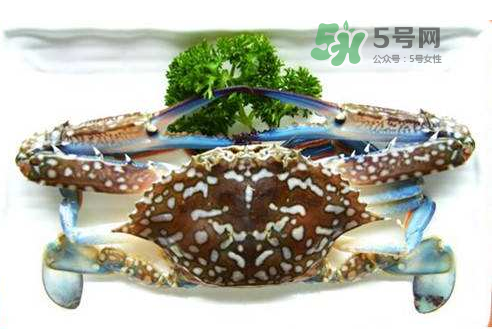 螃蟹腿藍色的是什么？螃蟹腿為什么是藍色？