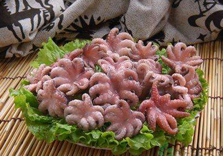 八爪魚(yú)煮多久才好？八爪魚(yú)需要煮多久？