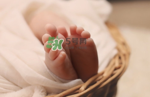孕婦怎么吃燕窩最好？哪些孕媽需要吃燕窩？