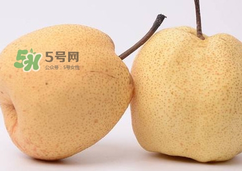 碭山梨好還是皇冠梨好？碭山梨和皇冠梨的區(qū)別
