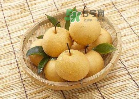 梨子怎么保存？梨子可以放冰箱嗎