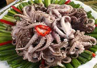 八爪魚可以冷凍嗎？八爪魚可以放冰箱嗎？