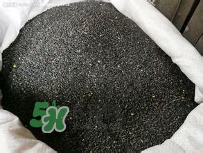 怎么看男人腎好不好？男人腎虛吃什么調(diào)理？