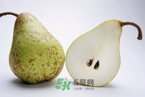 梨子核可以種盆栽嗎？梨子籽怎么種小盆栽