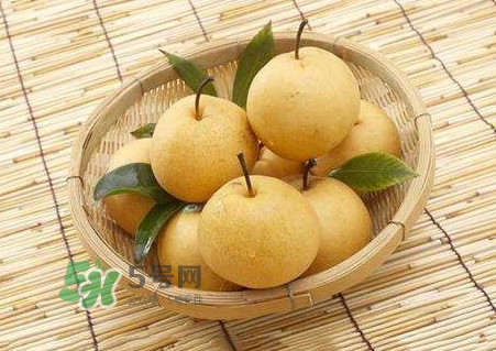 買(mǎi)梨子怎么挑選？梨子外面為什么要包張紙