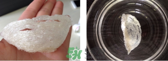 燕窩用什么鍋燉最好吃？燕窩用什么器具燉最好？