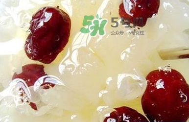 燕窩用什么鍋燉最好吃？燕窩用什么器具燉最好？