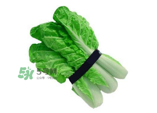 水白菜可以吃嗎？水白菜能吃嗎