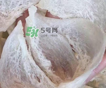 燕窩里面含有激素嗎？燕窩兒童吃了會不會性早熟？