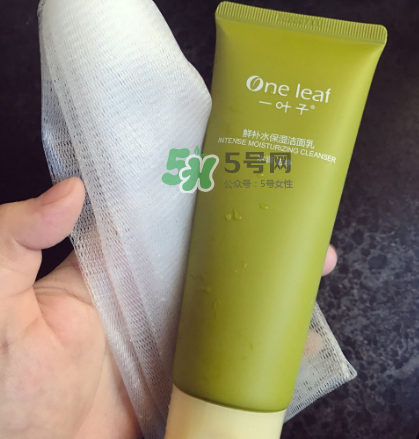 一葉子補(bǔ)水潔面乳怎么樣？一葉子補(bǔ)水洗面奶好用嗎？