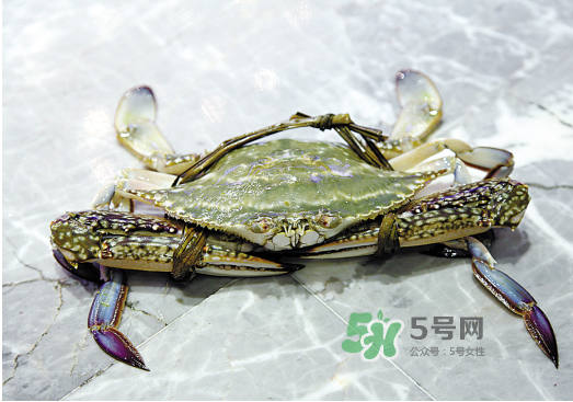 梭子蟹可以和酸奶一起吃嗎？吃完梭子蟹能喝酸奶嗎？
